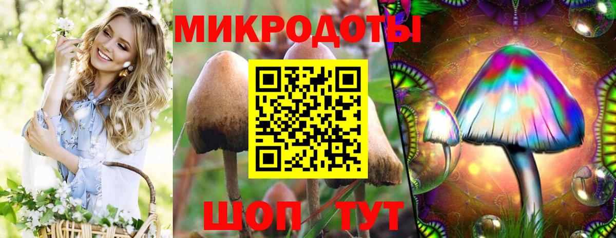 Псилоцибиновые грибы прущие грибы Югорск