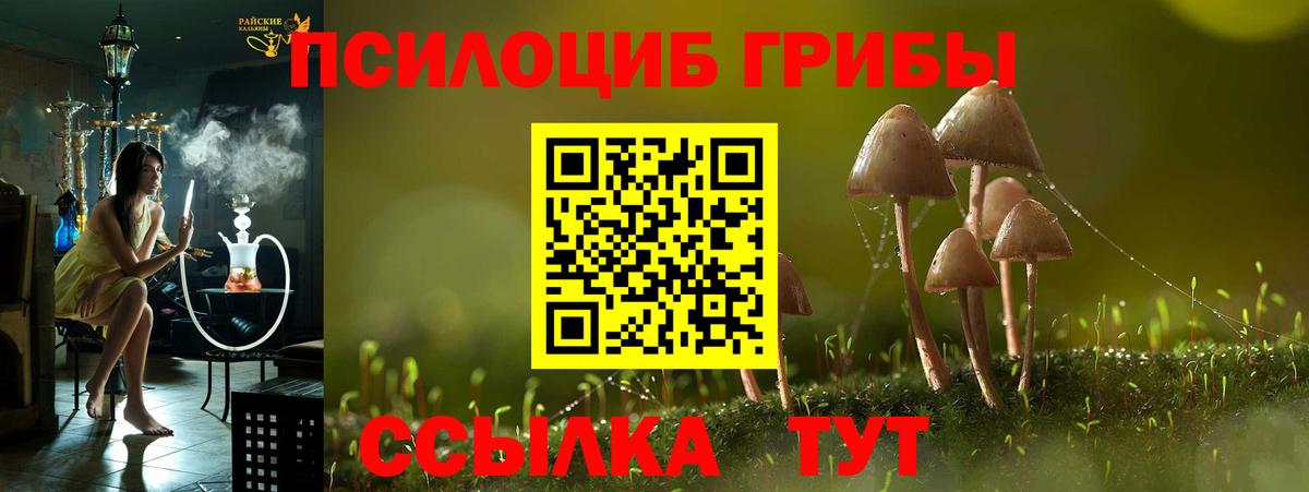 Галлюциногенные грибы ЛСД  Вход с VPN  наркота  Югорск 